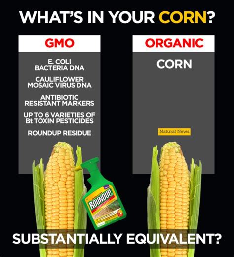 What's in Your Corn?