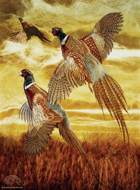 "Flushed" | Wildlife Art Pheasant Painting