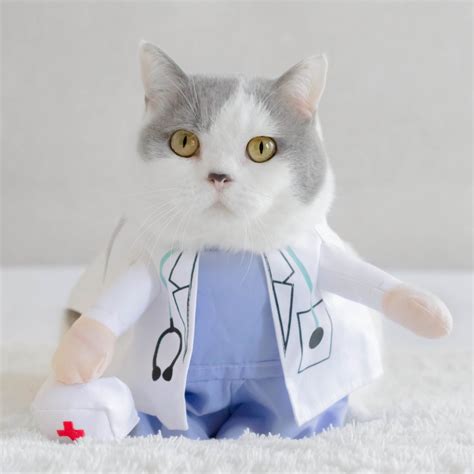 Super Cute Dogs Cats Dress Up Halloween Funny Costume Doctor Small Give ...