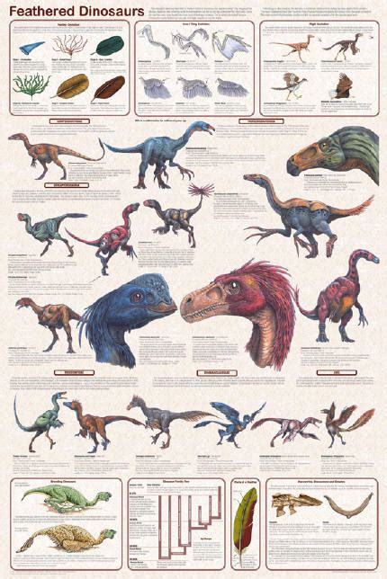 Feathered Dinosaur - A Comprehensive Study