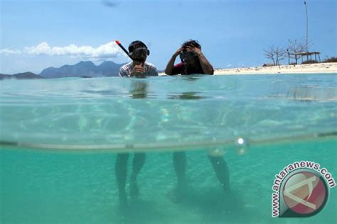 Snorkeling di Pulau Pahawang Lampung - ANTARA News