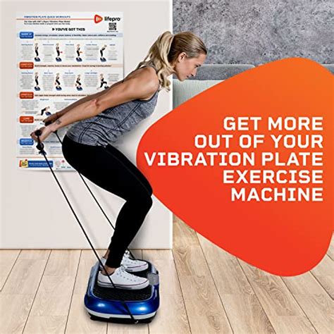 Lifepro Whole Body Vibration Plate Workout Poster - Comprehensive ...