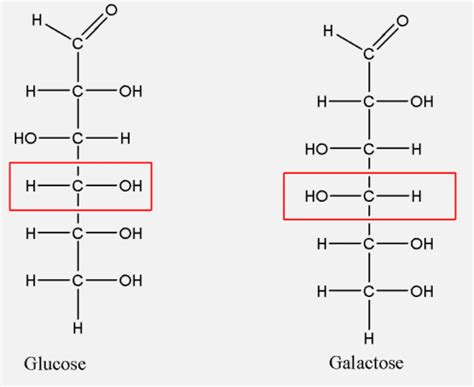 What type of isomers are glucose and galactose?