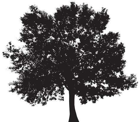 Free photo: tree silhouette - Nature, Painting, Plant - Free Download ...