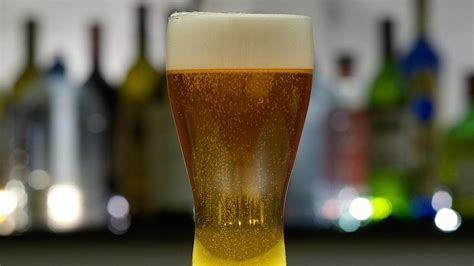 German Pilsner Recipe: Helpful Tips To Make This Easy Golden Lager