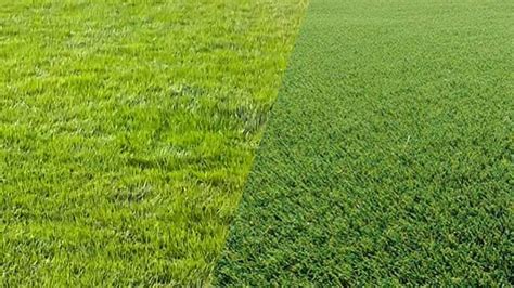 Making the Right Play: NFL Grass Vs Artificial Turf - Metro League