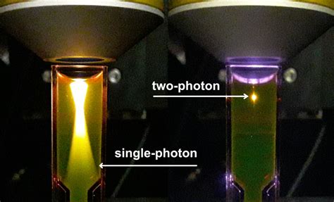 What Is Two-Photon Microscopy? – Bliq Photonics