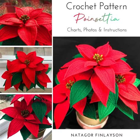 Crochet Poinsettia Pattern - Natagor Finlayson