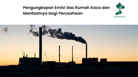 Pengungkapan Emisi Gas Rumah Kaca dan Manfaatnya bagi Perusahaan