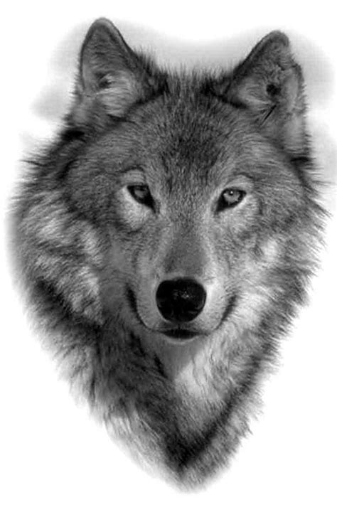 Adorable realistic wolf portrait tattoo design - Tattooimages.biz