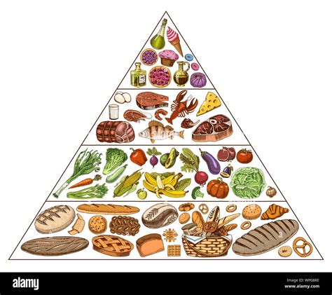 Healthy food plan pyramid. Infographics for Balanced Diet percentage ...