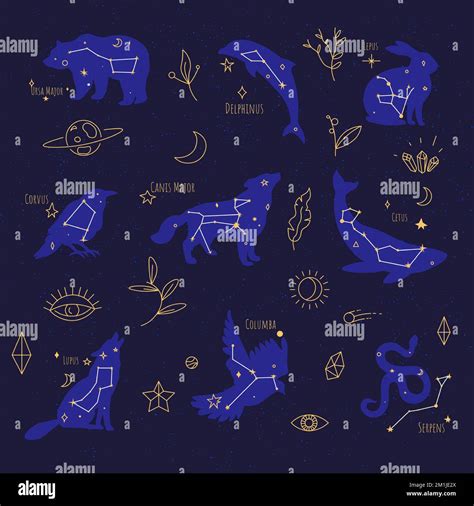 Constellations celestial bodies signs at night sky Stock Vector Image ...