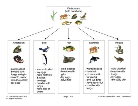 Related image | Biologie, Kreativ