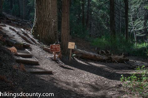 Doane Valley Nature Trail (Palomar Mountain State Park) - Hiking San ...