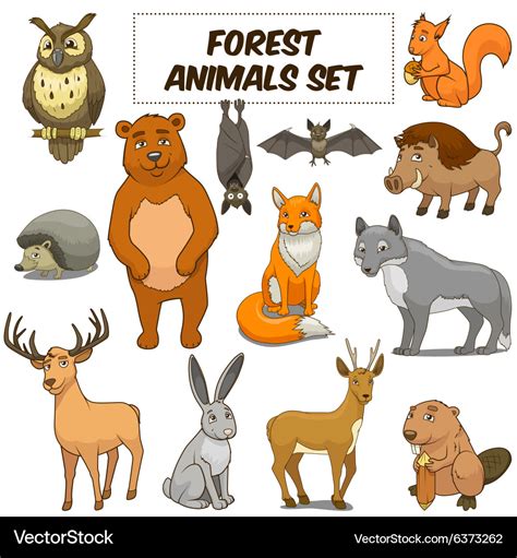 Cartoon forest animals set Royalty Free Vector Image