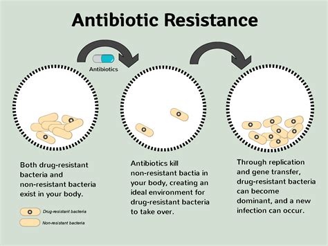 Why is the Antimicrobial Stewardship Program Important?