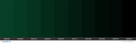 Shades XKCD Color evergreen #05472a hex | Hex color palette, Color ...