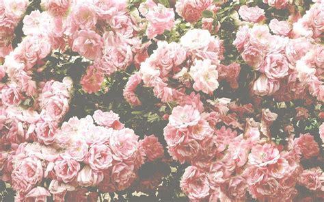 Aesthetic Floral Desktop Wallpapers - Wallpaper Cave