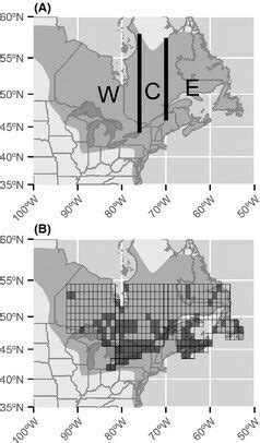 A) Black duck breeding distribution according to Nature Serve (dark ...