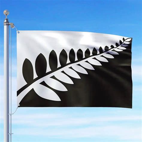 The Silver Fern Flag - Home