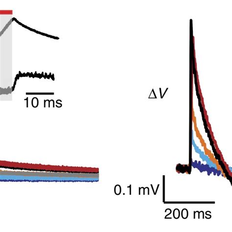 10: Example of temperature measurement (left) and change in cell ...