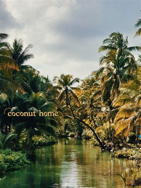 Coconut Home | Tropical bungalows on Behance