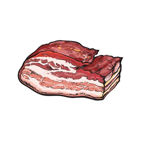 Vector Sketch Lard Meat Isolated Illustration Stock Vector ...