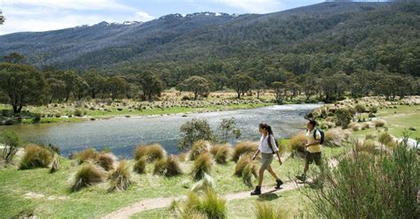 Thredbo Australia - Plan a Holiday - Accommodation, Ski Resort ...