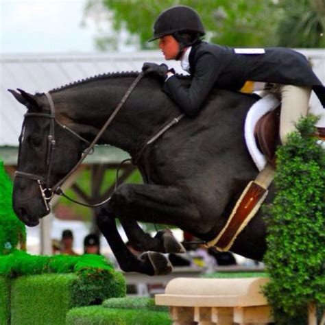 Pin by Lily Web on Horses | Eventing horses, Horse riding fashion, Horses