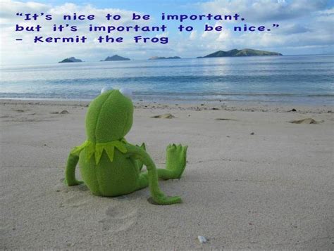 Wise words from Kermit the frog