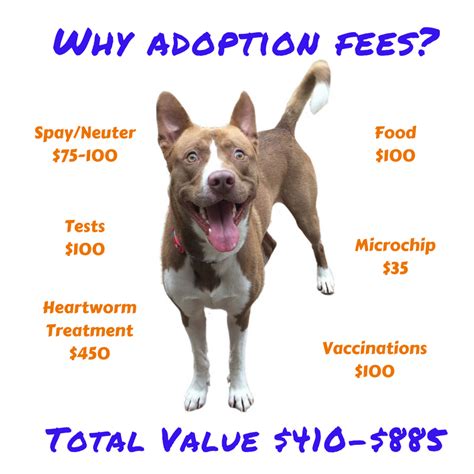 Why adoption fees? - Zeus' Rescues