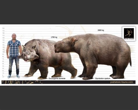 Diprotodon | Prehistoric wildlife, Prehistoric animals, Extinct animals