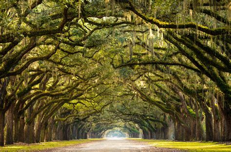 20 Epic Places To Visit In The South, USA - Southern Trippers