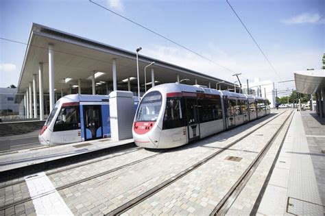 Florence unveils new tram line (Drone video) | Florence Daily News