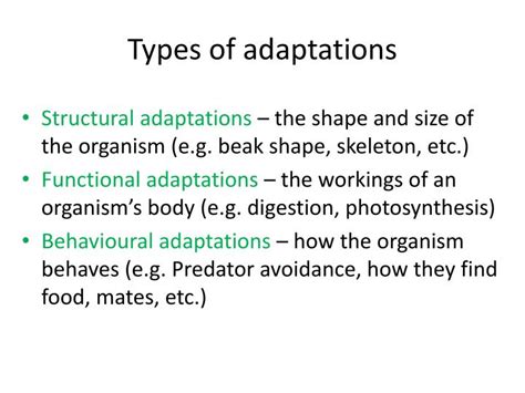 PPT - ADAPTATIONS PowerPoint Presentation - ID:2721754