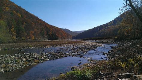 Savage River State Forest | Treadworld