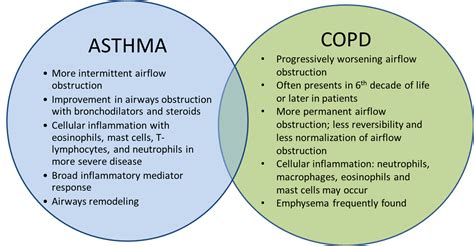 Global Asthma and COPD Therapeutics Market $44.1 Billion by 2031