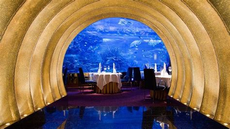 Another view of the restaurant with the aquarium in it (or rather, YOU ...