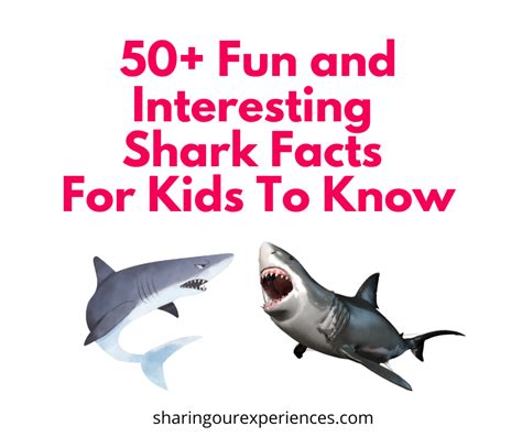 Carpet Shark Interesting Facts | Review Home Co