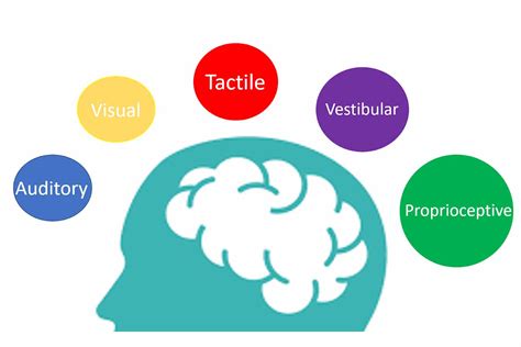 Parents Guide To Sensory Integration & Processing | DTA