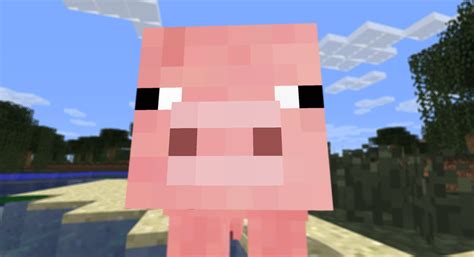 Minecraft Pig Face Pixel Art Images & Pictures - Becuo