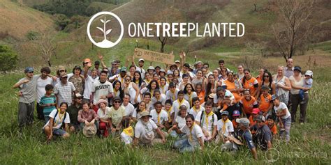 One Tree Planted-Main Image | Our Shared Earth