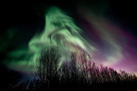 More chances to see northern lights in Alberta on the way | CityNews ...