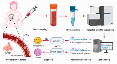 Cancers | Free Full-Text | Non-Invasive Biomarkers for Early Detection ...