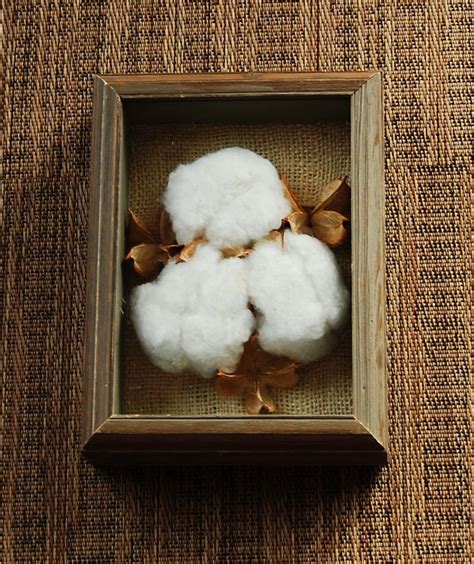 www.floralcotton.com Raw Cotton Boll Floral Cotton | Cotton decor ...