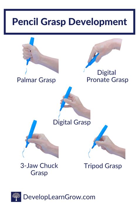 Development of Pencil Grasp - How to Promote a Functional Grasp with 5 ...