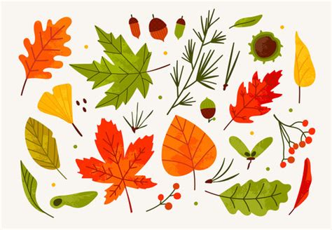 Fall Leaves Cartoon