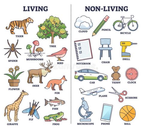 Living Vs Non Living Things Comparison for Kids Teaching Outline ...