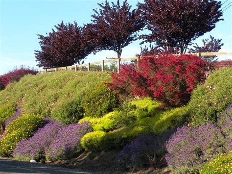 Hillside Landscaping with Retaining Walls | Details Landscape Art