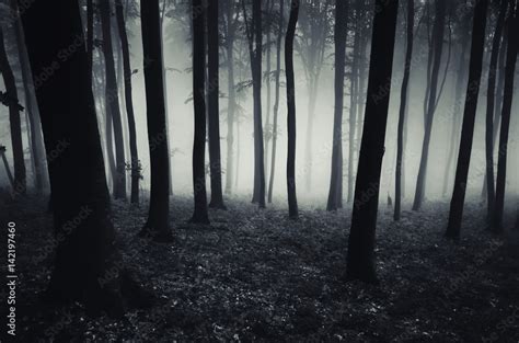 dark forest background, Halloween scary atmosphere Stock Photo | Adobe ...